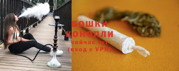шишки Богородицк