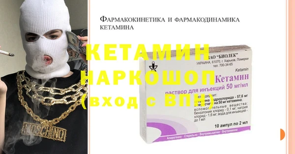 шишки Богородицк