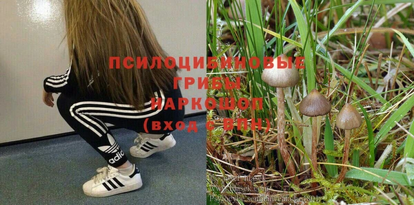 герыч Богданович