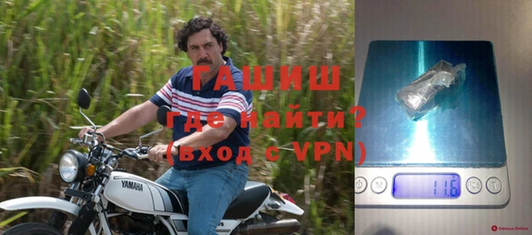 шишки Богородицк
