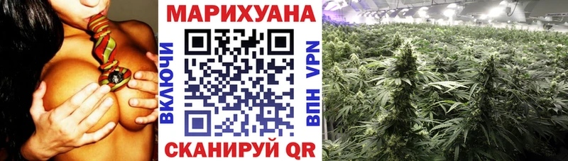 Купить где Талдом Конопля THC 21%